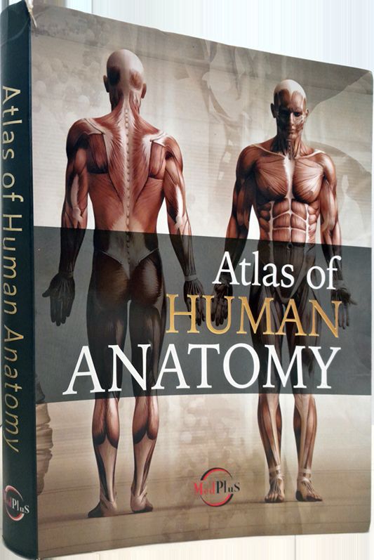 Atlas of Human Anatomy