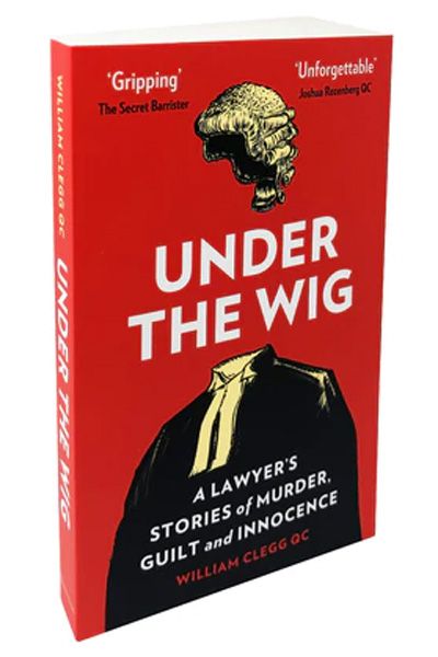 Under The Wig image 2