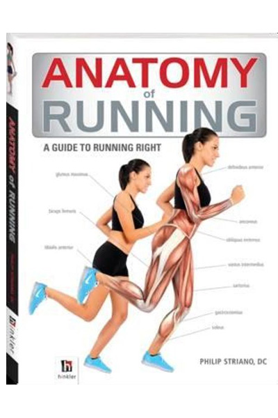 Anatomy of Running