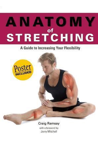 Anatomy of Stretching - A Guide to Increasing Your Flexibility